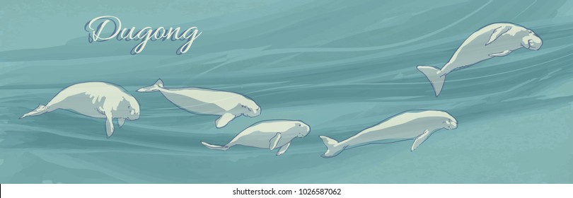 Dugongs underwater swimming. Vector illustration of sea cows on ocean current background. Hand drawn marine mammal animals.