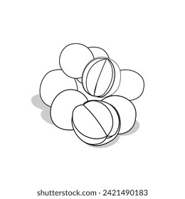 Duku fruit sketch vector design for drawing book, coloring book, packaging design, business icons, food stickers. Unique, nice, attractive, elegant, simple fruit illustration vector. fruit element