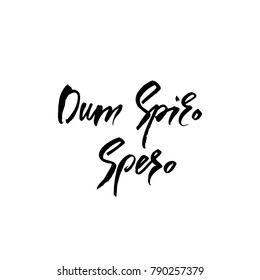 Dum Spiro Spero Images Stock Photos Vectors Shutterstock