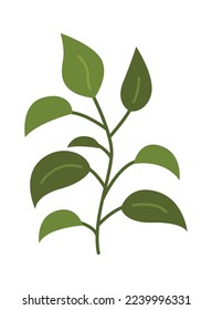 Planta de caña hueca icono plano Planta de hogar verde Jardinería doméstica. Ilustración del vector