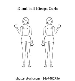 Dumbbell biceps curls exercise outline on the white background. Vector illustration