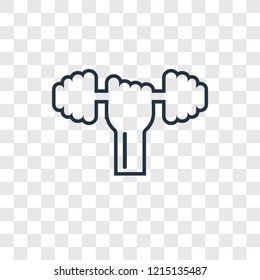 Dumbbell concept vector linear icon isolated on transparent background, Dumbbell concept transparency concept in outline style