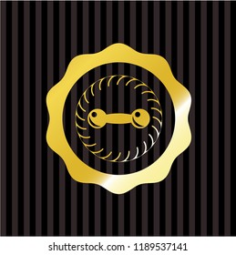 dumbbell icon inside gold emblem or badge