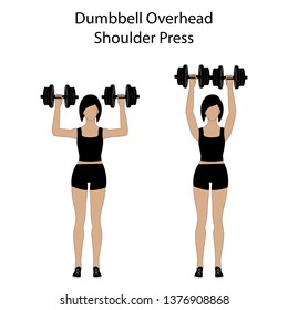 Dumbbell Overhead Shoulder Press Exercise