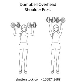 Dumbbell Overhead Shoulder Press Exercise Outline