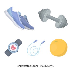Dumbbell, rope and other equipment for training.Gym and workout set collection icons in cartoon style vector symbol stock illustration web.