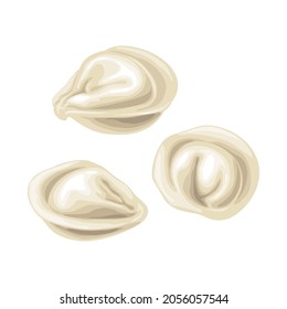 Dumpling. Color vector illustration. Isolated on white background. Hand drawn design ink element for label, poster, menu