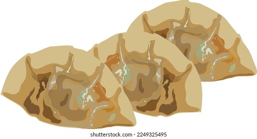 Dumpling, potsticker or jiaozi  isolated on white background- vector eps 10