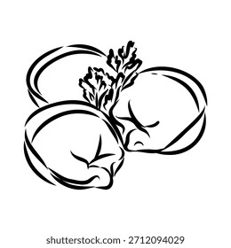 dumpling, comida rusa, boceto de Vector