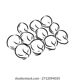 dumpling, Russian food, vector sketch