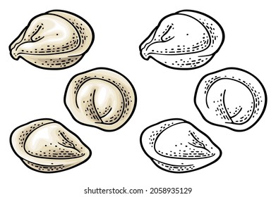 Dumpling. Vintage black and color vector engraving illustration. Isolated on white background. Hand drawn design ink element for label, poster, menu