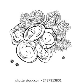 Knödel-Zusammensetzung. Bucht und Petersilienblatt. Schwarze Pfeffererbsen. Freihandzeichnung. Essen, Gemüse isoliert auf weißem Hintergrund. Buchskizze Illustration, Rezept, Menü, Magazin oder Zeitschriftenartikel.