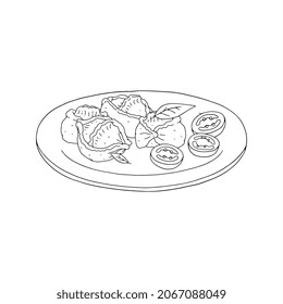 Dumplings manti on plate hand-drawn illustration isolated on white background. Uzbek national food and Central Asian cuisine kind of dumplings with meat fillings.