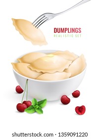 Dumplings ravioli manti colored realistic composition vareniki with cherry filling in a plate vector illustration