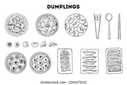 Dumplings sketch top view. Food menu design elements. Hand drawn set. Vector illustration. Chinese dumplings. Vintage illustration. Hand drawn food sketch. Design template.