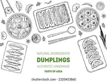 Dumplings top view frame. Food menu design template. Hand drawn vector illustration. Chinese dumplings. Vintage illustration. Hand drawn food sketch. Design template.