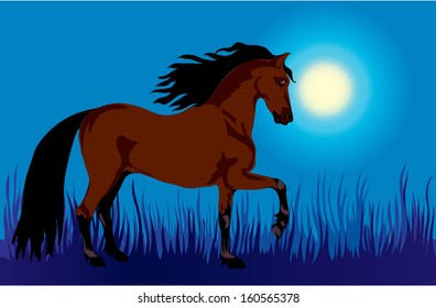 dun Horse hurrying on a background night sky