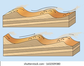 the dune crest movement infographic - vector