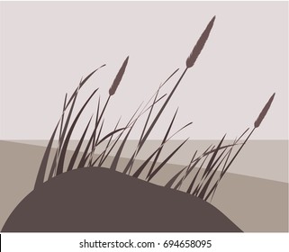 Dune, Grass, Sea