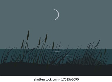 Dunes, seacoast in the night