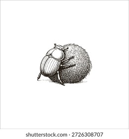 Ilustração de arte desenhada à mão de besouro esterco	
