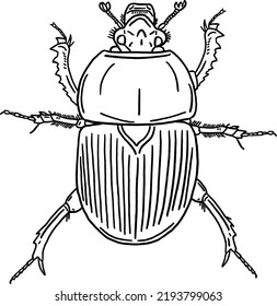 Dung beetle Insect Hand drawn line art Illustration