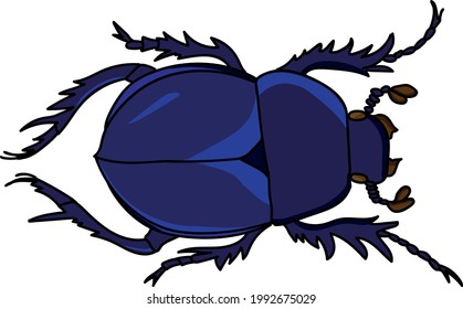 Dung beetle on a white background vector