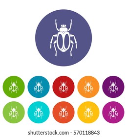 Dung beetle set icons in different colors isolated on white background