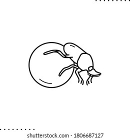 Dung-beetle, scarab vector icon in outline