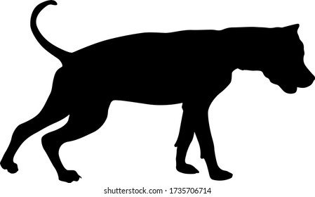 Dunker Dog Black Silhouette On White Background