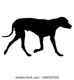 Dunker Dog Silhouette On A White Background