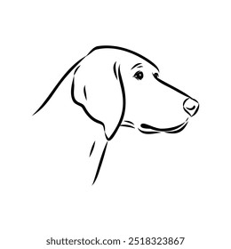 dunker dog vector sketch Portrait Dog Vector isolated on white background