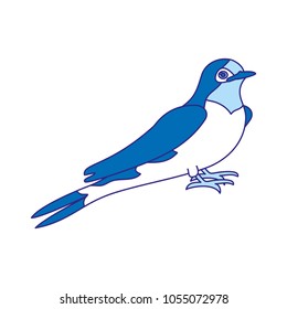 duo color beauty bird animal with wings and legs