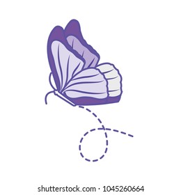 duo color nice butterfly insect animal flying