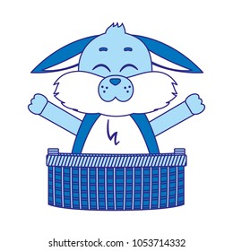 duo color rabbit animal with open hands inside hamper