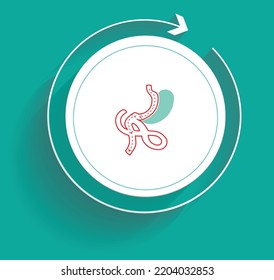 Duodenal Switch Surgery Treatment Recovery