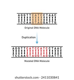 Duplication Mutation Scientific Design. Vector Illustration.