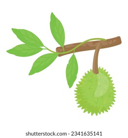 Durian branch icon cartoon vector. Sweet fruit. Healthy natural