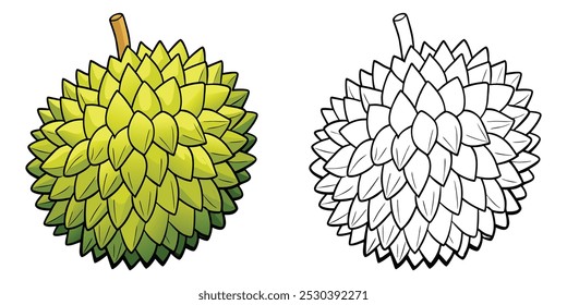Durian Coloring Page For Kids. Durian Fruit Coloring Book Printable. Durian Fruits Illustration Vector Design On White Background