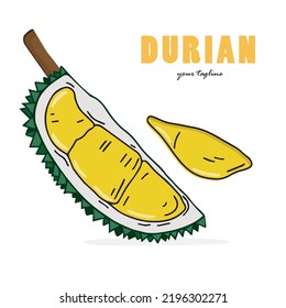 Durian delicious fruit vector design. Durian fruit whole and peeled. Flat art cartoon drawing design. Vector isolated on white background.