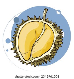 Durian delicious fruit vector design. Half durian fruit isolated.