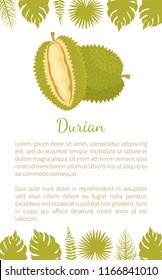 Durian exotic juicy fruit with unusual flavour and odour vector poster text and palm leaves. Tropical edible food, dieting veggies icon full of vitamins