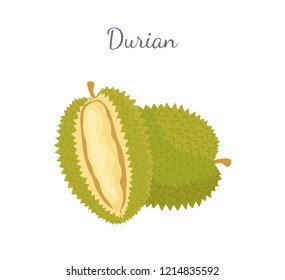 Durian exotic juicy fruit whole and cut with unusual flavour and odour vector isolated. Tropical edible food, dieting vegetarian icon full of vitamins