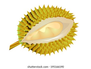 durian fruit