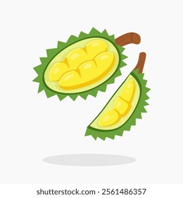 Durian fruit cartoon vector icon illustration isolated on white background. Peeled durian fruit.