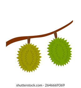 Durian fruto clip art. Durian em ramo ilustração vetorial com várias cores isoladas em fundo branco