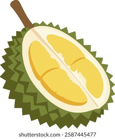 Durian Fruit Cut in Half – Exotic Tropical Superfood, Spiky Green Shell, Creamy Yellow Flesh, Southeast Asian Delicacy, Aromatic and Nutritious Produce Illustration