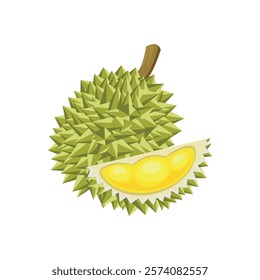 Durian fruit and cut durian fruit vector illustration isolated on a white background.