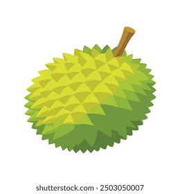 Durian Fruit flat vector illustration on white background