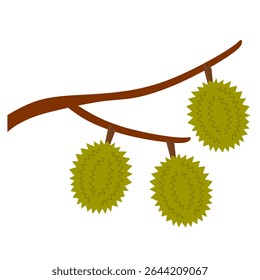 Fruta duriana fresca em desenho animado de galho clip art isolado em fundo branco. Fruto asiático imagem durian estilo simples